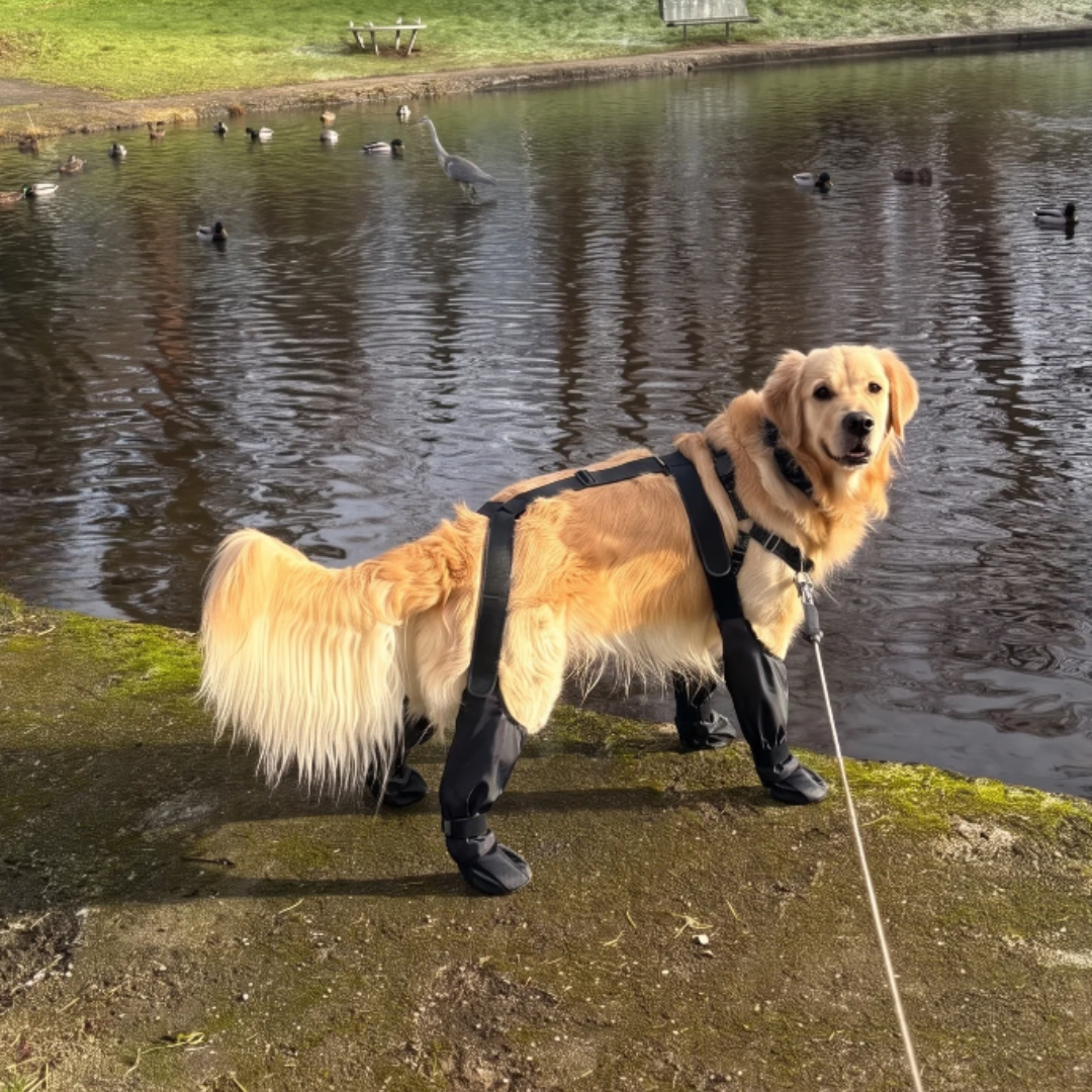 Waterproof Dog Leg Boots